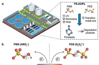 解锁可持续水处理压电激活过硫酸盐的潜力
