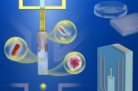 科学家开发高精度液滴打印平台用于单细胞表型筛选
