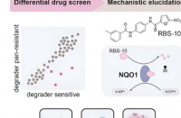 新药揭示了克服蛋白质降解剂耐药性的关键机制