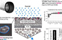 透水路面可以减少杀死鲑鱼的轮胎污染物
