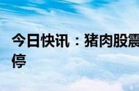 今日快讯：猪肉股震荡走高，正虹科技午后涨停