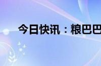 今日快讯：粮巴巴完成A轮上亿元融资