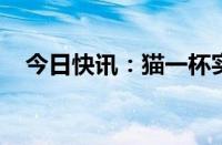 今日快讯：猫一杯实控公司新增注销备案