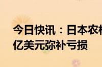 今日快讯：日本农林中央金库据悉筹资约77亿美元弥补亏损