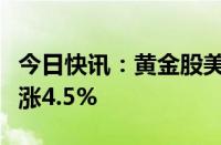 今日快讯：黄金股美股盘前普涨，哈莫尼黄金涨4.5%