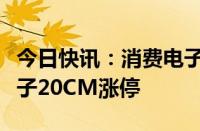 今日快讯：消费电子概念股震荡走强，奕东电子20CM涨停