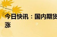 今日快讯：国内期货夜盘收盘主力合约多数上涨