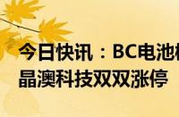 今日快讯：BC电池概念火箭发射，钧达股份 晶澳科技双双涨停