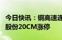 今日快讯：铜高速连接器概念持续拉升，神宇股份20CM涨停