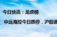 今日快讯：龙虎榜 | 中远海控今日跌停，沪股通买入7.24亿元并卖出6.17亿元