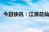 今日快讯：江淮花仙子系列新车型正式上市