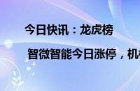 今日快讯：龙虎榜 | 智微智能今日涨停，机构合计净卖出1167.33万元