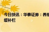 今日快讯：华泰证券：养殖景气上行可期，养猪持续降成本缓补栏