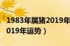 1983年属猪2019年每月运势（1983年属猪2019年运势）