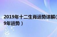 2019年十二生肖运势详解(最新完整版)2020（十二生肖2019年运势）