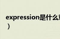 expression是什么意思（expression怎么读）