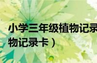 小学三年级植物记录卡玫瑰花（小学三年级植物记录卡）