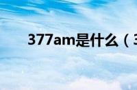 377am是什么（337am是什么意思）