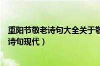 重阳节敬老诗句大全关于敬老爱老的古诗词（重阳节敬老的诗句现代）