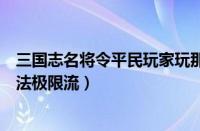 三国志名将令平民玩家玩那个阵营好（三国志名将令平民玩法极限流）