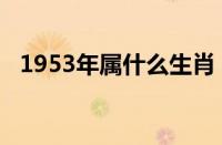 1953年属什么生肖（1904年属什么生肖）