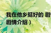 我在他乡挺好的 剧情介绍（我在他乡挺好的剧情介绍）