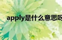 apply是什么意思呀（apply是什么意思）