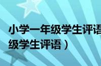 小学一年级学生评语优秀学生评语（小学一年级学生评语）