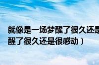 就像是一场梦醒了很久还是很感动完整歌词（就像是一场梦醒了很久还是很感动）