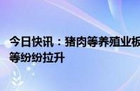 今日快讯：猪肉等养殖业板块探底回升，正虹科技 牧原股份等纷纷拉升