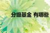 分级基金 有哪些（分级基金有哪些）