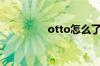 otto怎么了（otto是谁）