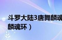 斗罗大陆3唐舞麟魂环技能（斗罗大陆3唐舞麟魂环）