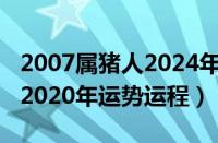 2007属猪人2024年全年运势及运程（属猪人2020年运势运程）