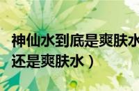 神仙水到底是爽肤水还是精华（神仙水是精华还是爽肤水）