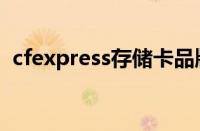 cfexpress存储卡品牌（cfexpress存储卡）