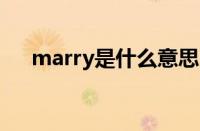 marry是什么意思（mary是什么意思）