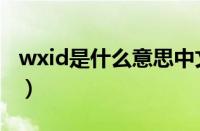 wxid是什么意思中文翻译（wxid是什么意思）