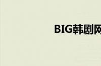 BIG韩剧网（big韩剧）