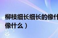 柳枝细长细长的像什么一样（柳枝细长细长的像什么）