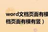 word文档页面有横有竖怎么设置（word文档页面有横有竖）