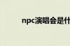 npc演唱会是什么（npc演唱会）