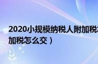 2020小规模纳税人附加税怎么交的（2020小规模纳税人附加税怎么交）