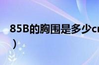 85B的胸围是多少cm（85b的胸围是多少cm）