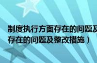 制度执行方面存在的问题及整改措施有哪些（制度执行方面存在的问题及整改措施）