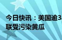 今日快讯：美国逾380人感染沙门氏菌，疑关联受污染黄瓜