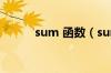 sum 函数（sum函数公式大全）