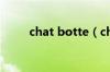 chat botte（chatroulette中文）