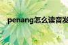 penang怎么读音发音（penang怎么读）