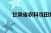 甘肃省农科院田青（甘肃省农科院）